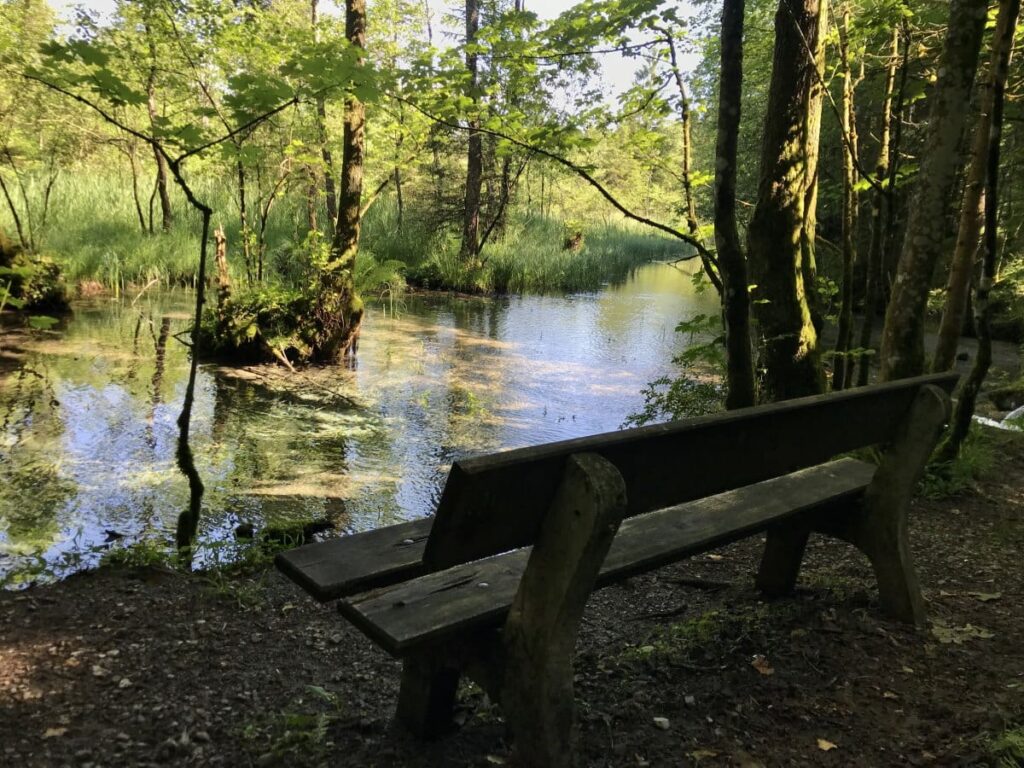 Sieben Quellen Eschenlohe - die Rastbank im Schatten