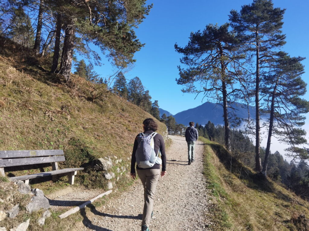 Kramerplateauweg Garmisch Partenkirchen - leichte Wanderung mit Sonne und viel Ausblick 