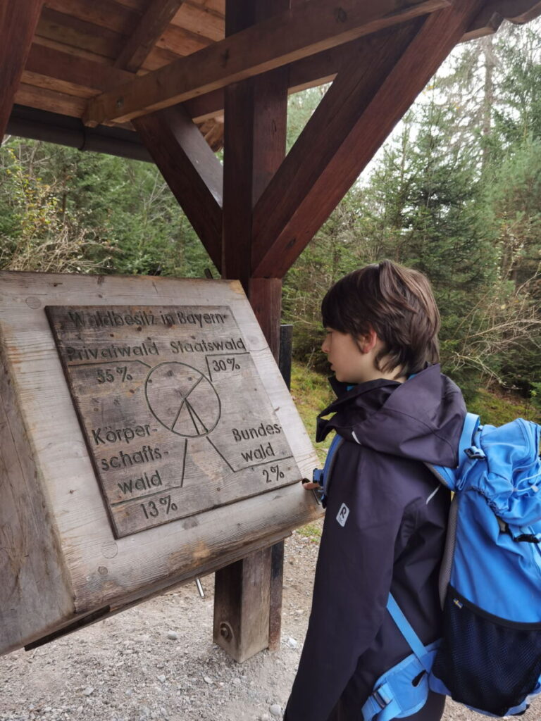 Kurzweilig wandern mit Kindern - Walderlebnispfad Farchant bei Garmisch Partenkirchen