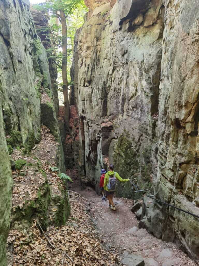 Natur Reiseziele Deutschland: Die Teufelsschlucht in der Eifel